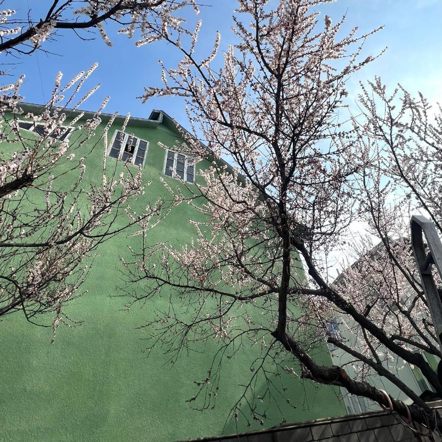 Abs Guest House Osh Exterior foto